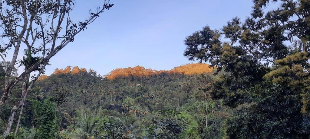 Linn View Home Stay Munnar Exterior foto